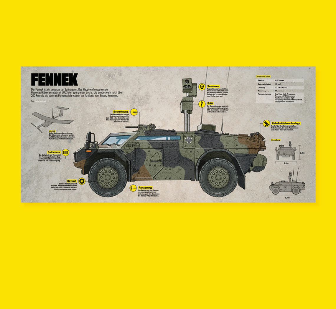 Fennek Infografik Infographics