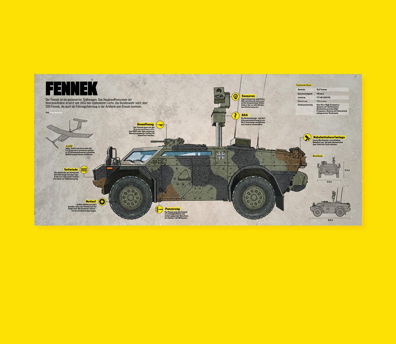 Fennek Infografik Infographics